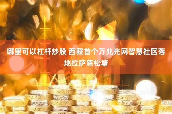 哪里可以杠杆炒股 西藏首个万兆光网智慧社区落地拉萨慈松塘