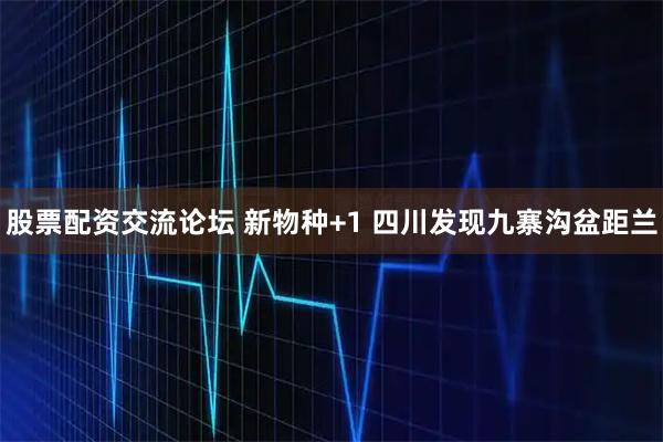 股票配资交流论坛 新物种+1 四川发现九寨沟盆距兰