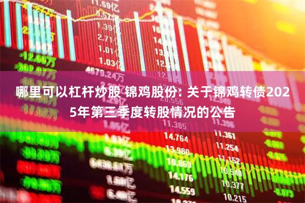 哪里可以杠杆炒股 锦鸡股份: 关于锦鸡转债2025年第三季度转股情况的公告