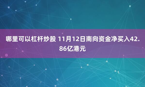 哪里可以杠杆炒股 11月12日南向资金净买入42.86亿港元