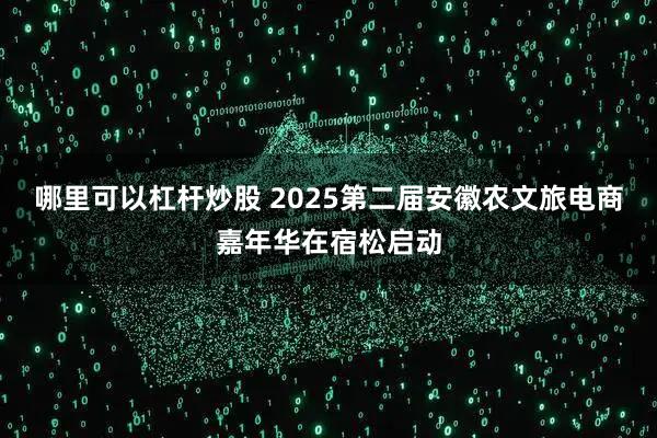 哪里可以杠杆炒股 2025第二届安徽农文旅电商嘉年华在宿松启动