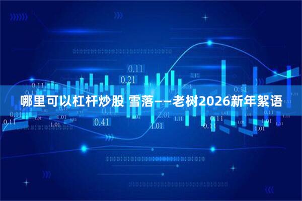 哪里可以杠杆炒股 雪落——老树2026新年絮语